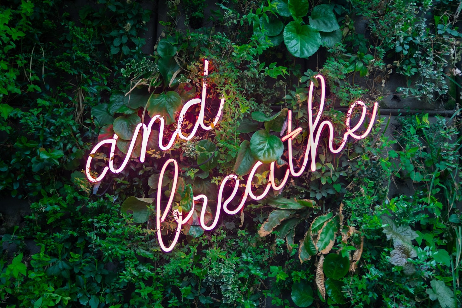 Embodiment Coaching: A Path to Inner Peace
